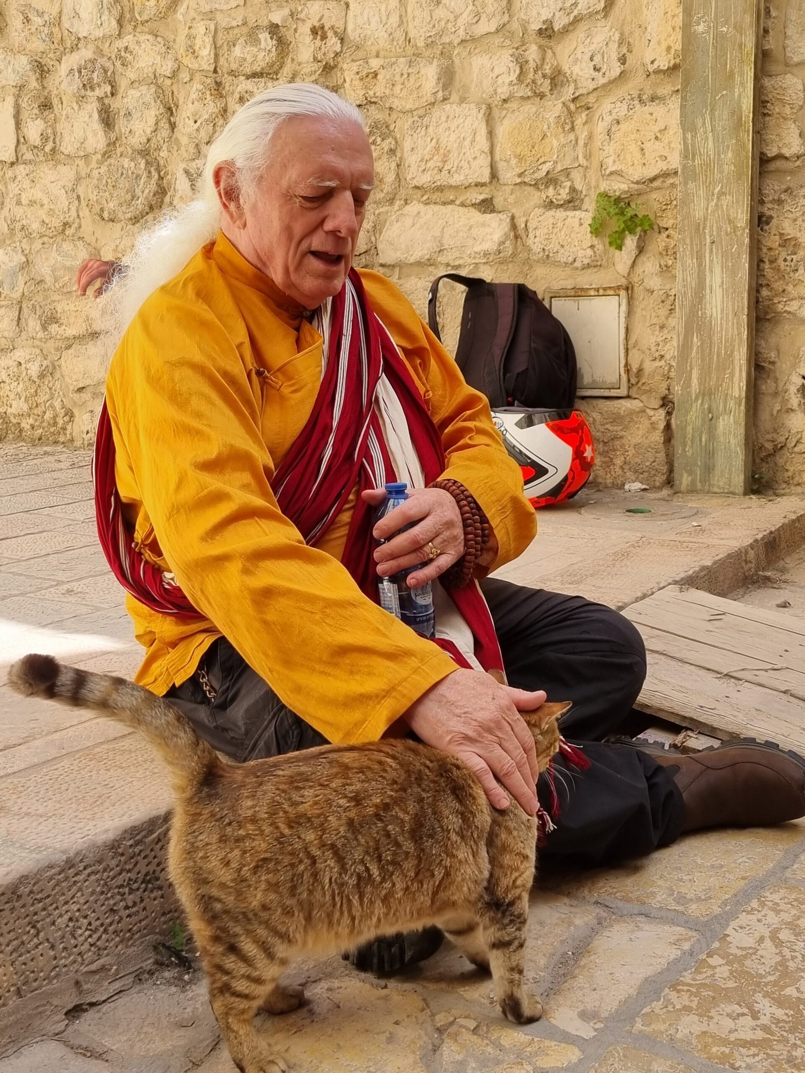 מפעילויות הסנגהה